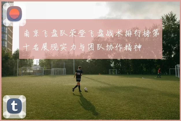 南京飞盘队荣登飞盘战术排行榜第十名展现实力与团队协作精神