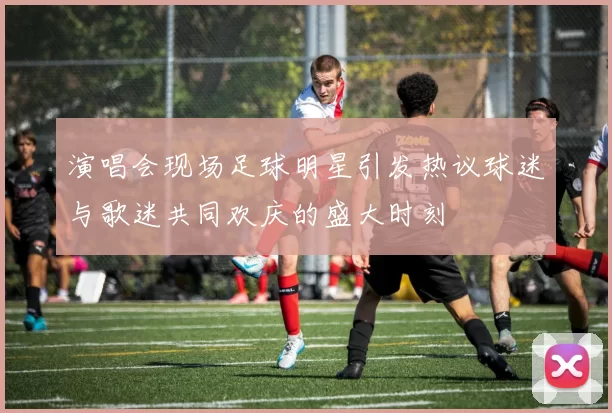 演唱会现场足球明星引发热议球迷与歌迷共同欢庆的盛大时刻
