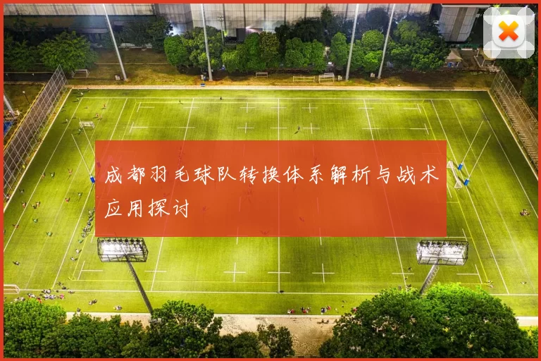 成都羽毛球队转换体系解析与战术应用探讨