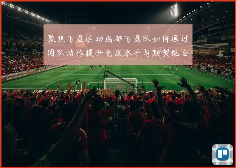 聚焦飞盘运动成都飞盘队如何通过团队协作提升竞技水平与默契配合