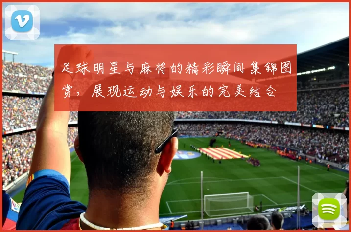 足球明星与麻将的精彩瞬间集锦图赏，展现运动与娱乐的完美结合