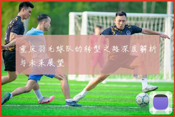 重庆羽毛球队的转型之路深度解析与未来展望