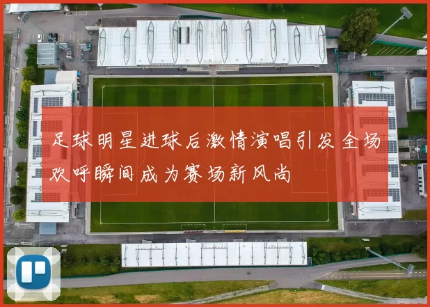 足球明星进球后激情演唱引发全场欢呼瞬间成为赛场新风尚