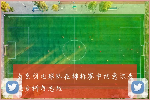 南京羽毛球队在锦标赛中的意识表现分析与总结