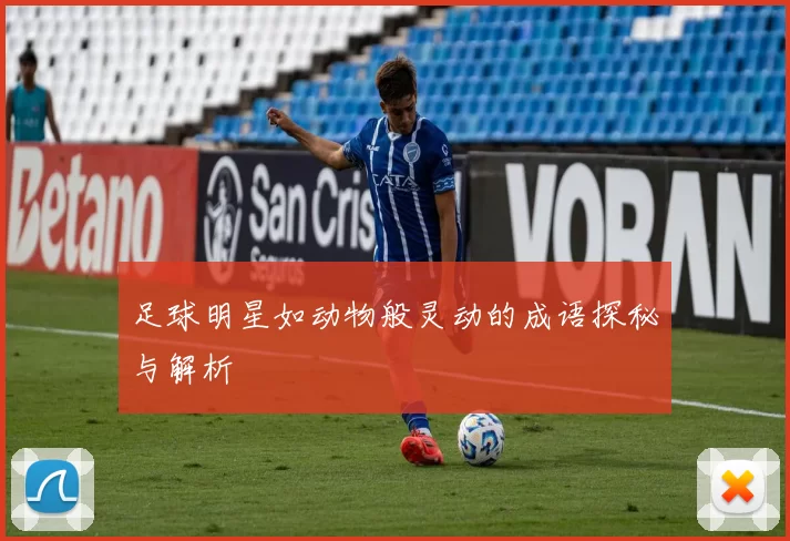 足球明星如动物般灵动的成语探秘与解析
