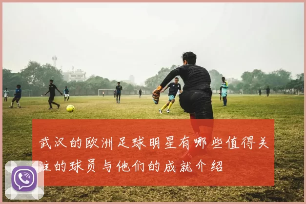 武汉的欧洲足球明星有哪些值得关注的球员与他们的成就介绍