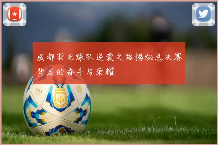成都羽毛球队逆袭之路揭秘总决赛背后的奋斗与荣耀