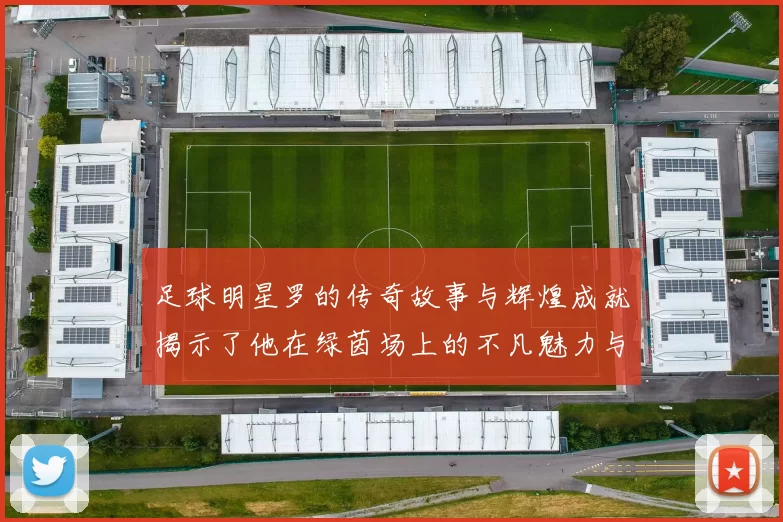 足球明星罗的传奇故事与辉煌成就揭示了他在绿茵场上的不凡魅力与影响力