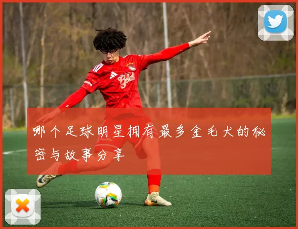 哪个足球明星拥有最多金毛犬的秘密与故事分享