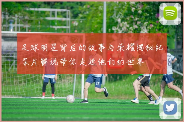 足球明星背后的故事与荣耀揭秘纪录片解说带你走进他们的世界