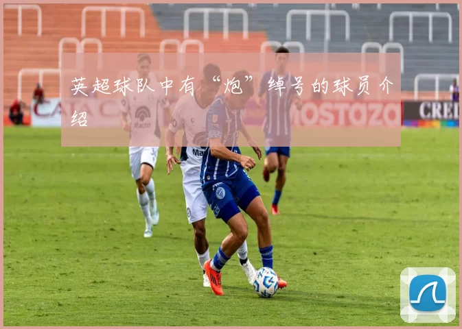 英超球队中有“炮”绰号的球员介绍