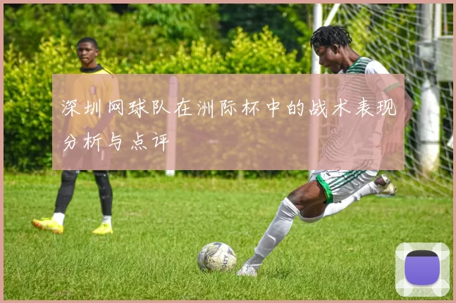 深圳网球队在洲际杯中的战术表现分析与点评