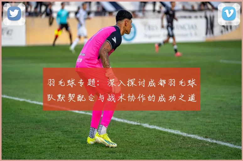 羽毛球专题：深入探讨成都羽毛球队默契配合与战术协作的成功之道