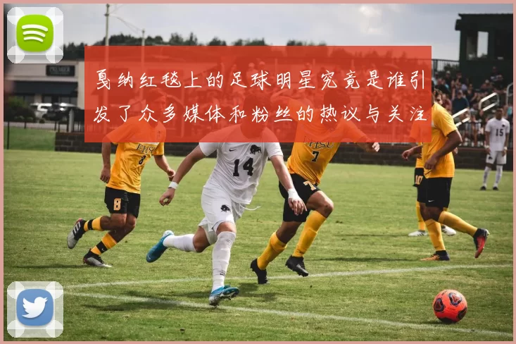 戛纳红毯上的足球明星究竟是谁引发了众多媒体和粉丝的热议与关注