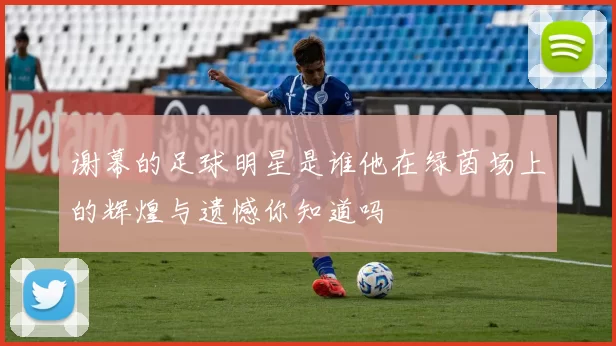 谢幕的足球明星是谁他在绿茵场上的辉煌与遗憾你知道吗