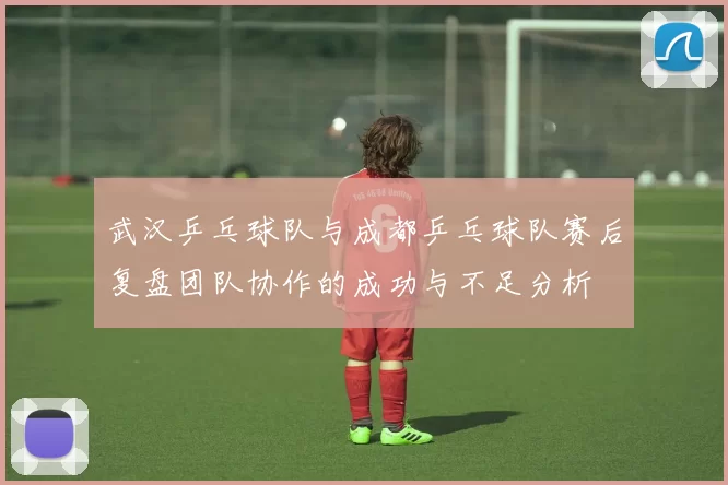 武汉乒乓球队与成都乒乓球队赛后复盘团队协作的成功与不足分析