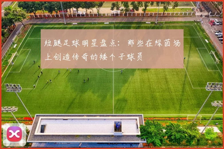 短腿足球明星盘点：那些在绿茵场上创造传奇的矮个子球员