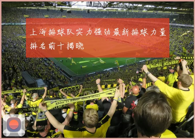 上海排球队实力强劲最新排球力量排名前十揭晓
