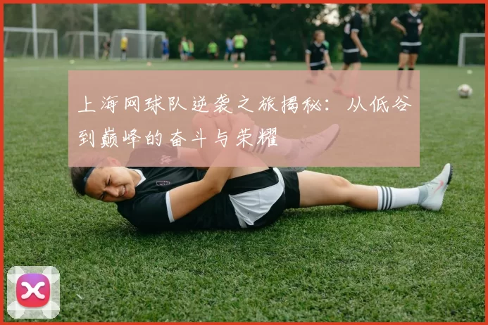 上海网球队逆袭之旅揭秘：从低谷到巅峰的奋斗与荣耀
