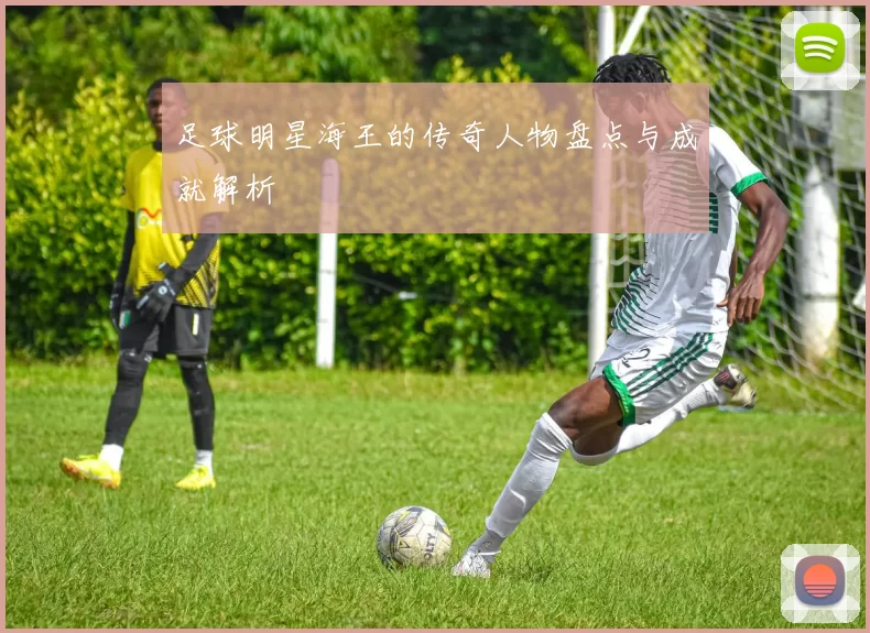 足球明星海王的传奇人物盘点与成就解析