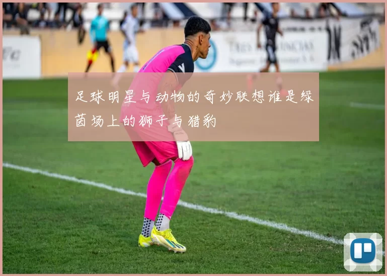 足球明星与动物的奇妙联想谁是绿茵场上的狮子与猎豹