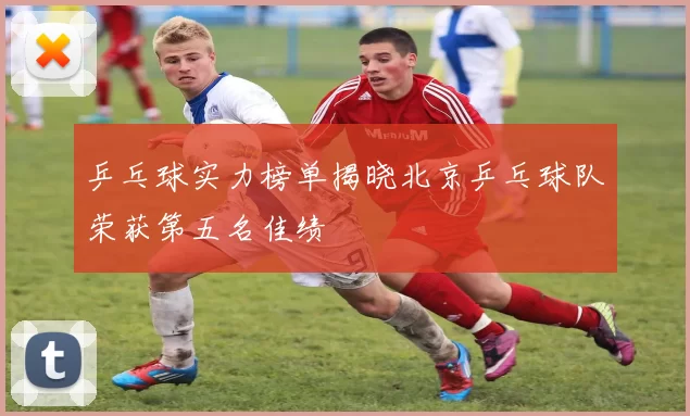 乒乓球实力榜单揭晓北京乒乓球队荣获第五名佳绩