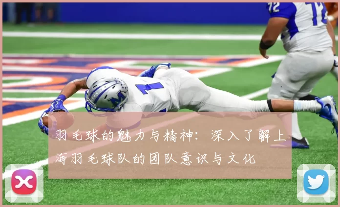 羽毛球的魅力与精神：深入了解上海羽毛球队的团队意识与文化